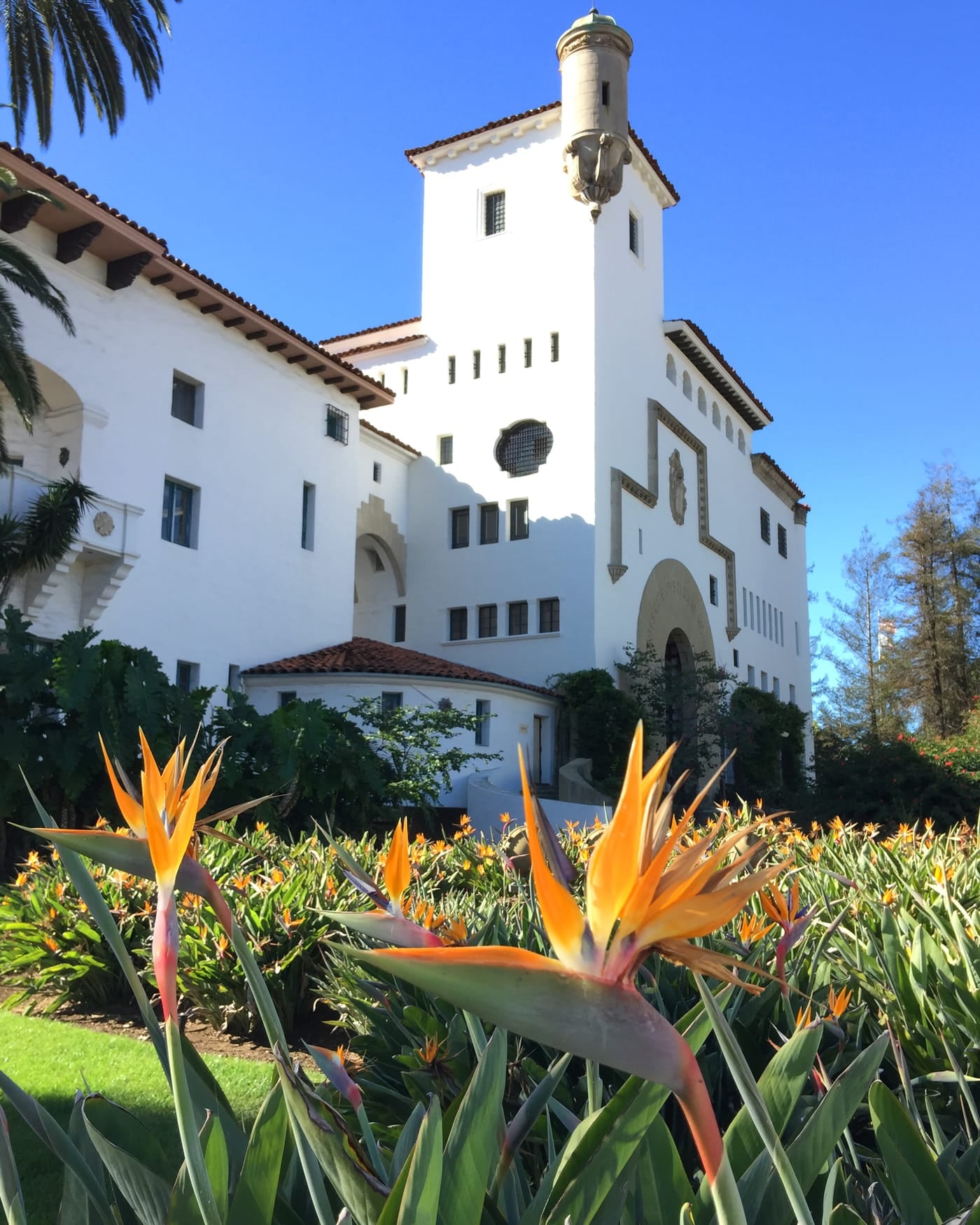 White Spanish-revival tower of the Santa Barbara County Courthouse with bird-of-paradise flowers in front