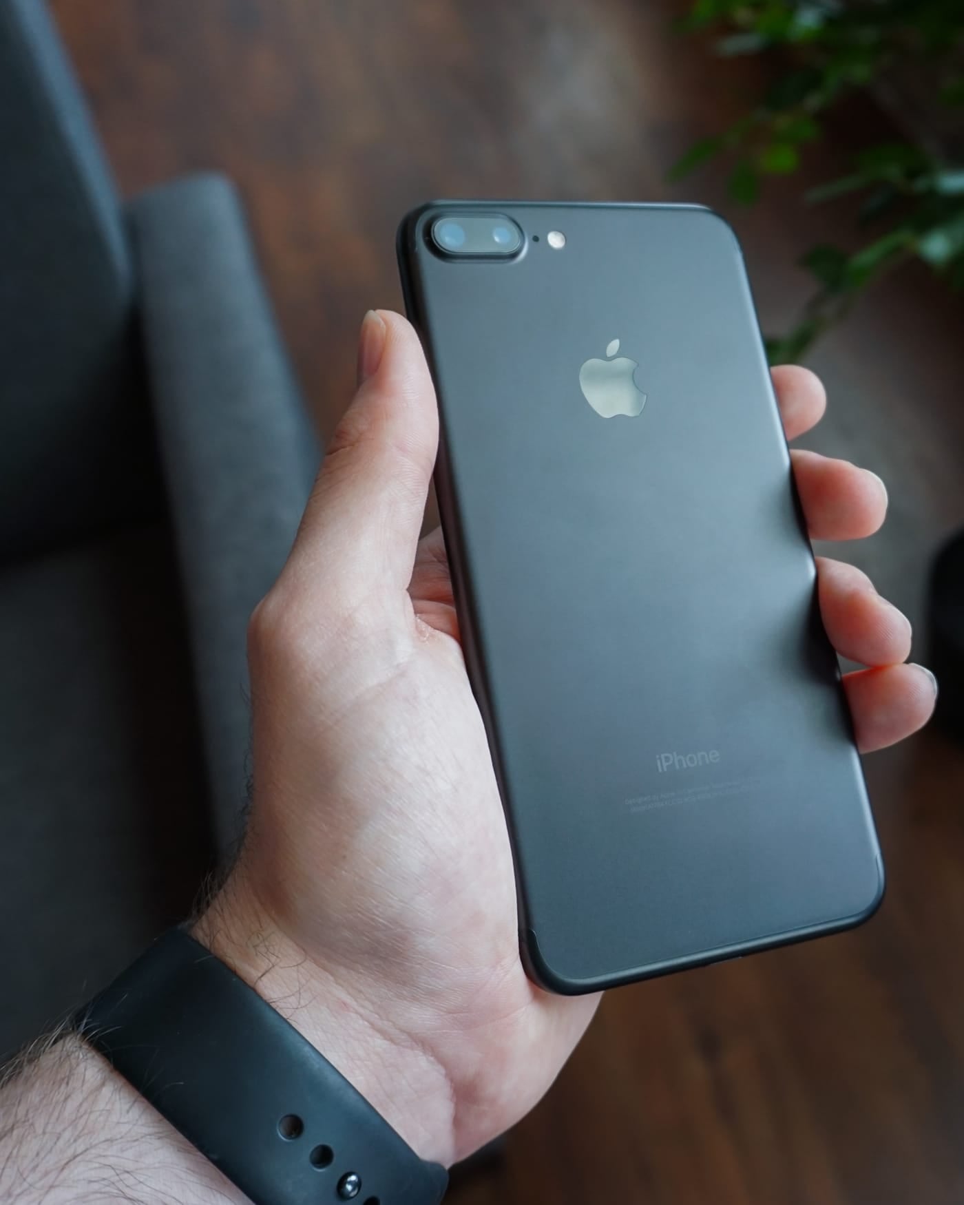 Hand holding a black smartphone over a grey sofa with a plant behind