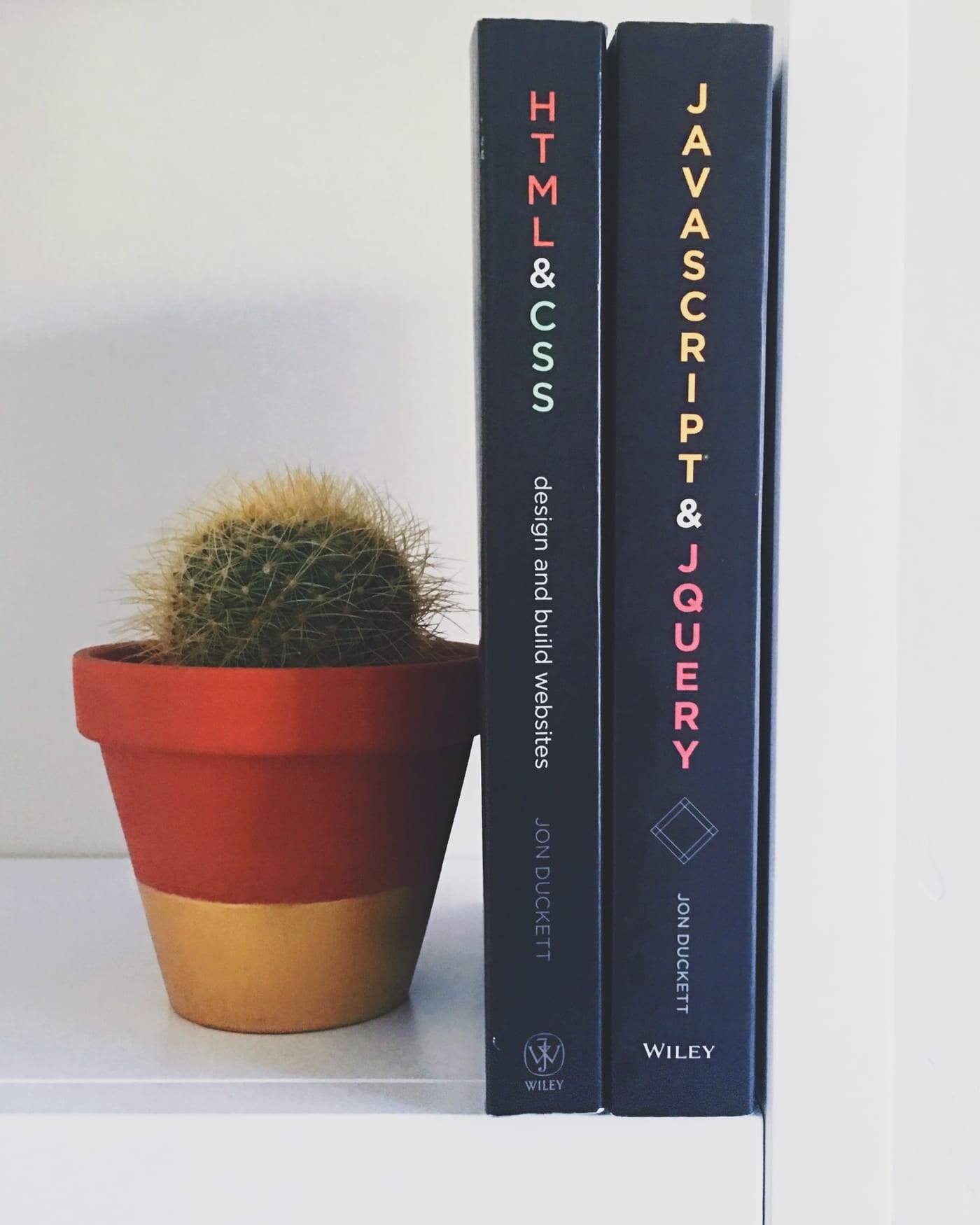 HTML & CSS and JavaScript books standing on a white shelf beside a small cactus