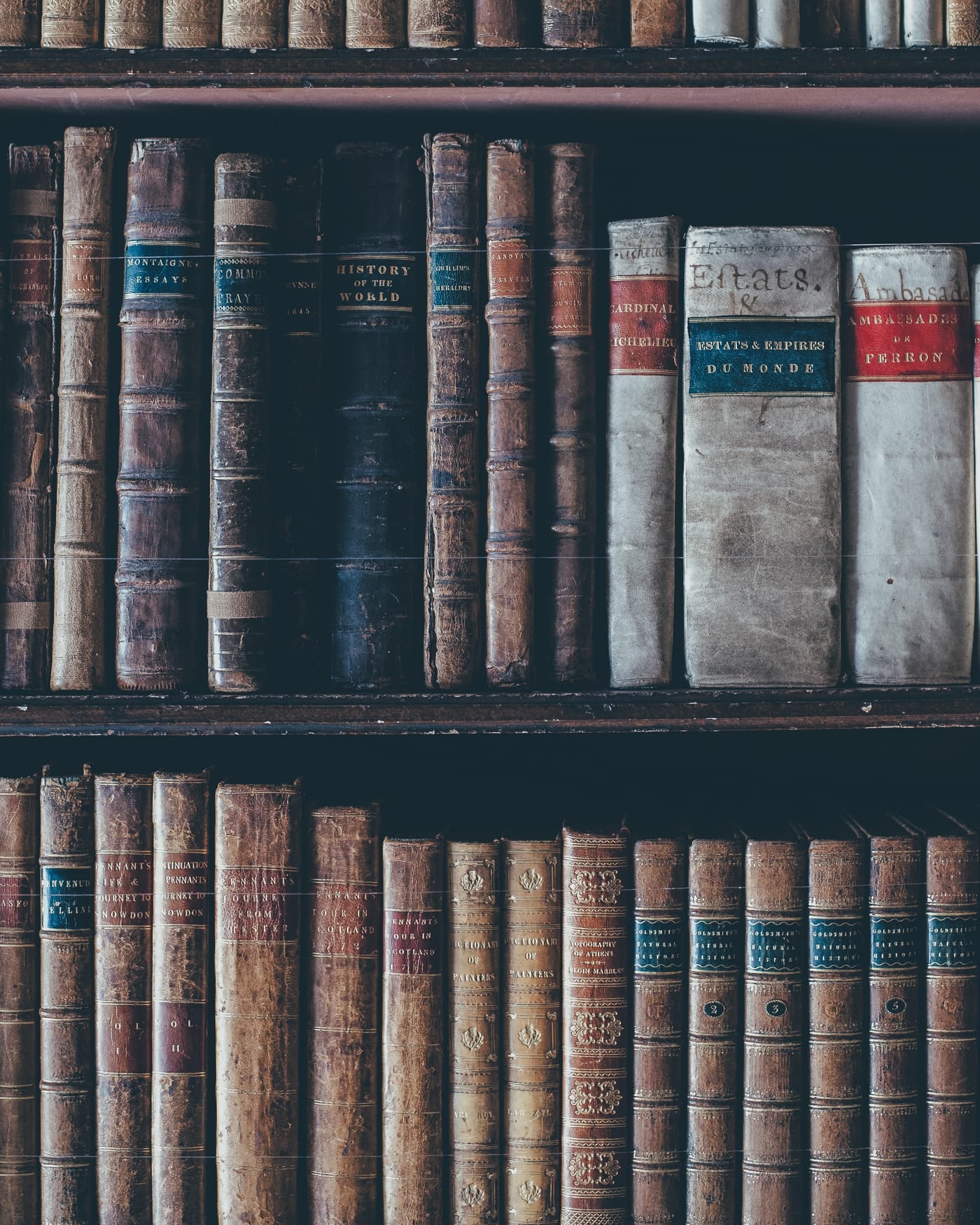 Shelves of antique leather-bound volumes with faded gold titles